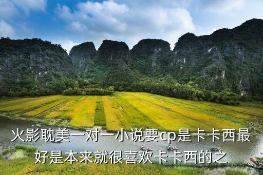 卡受，火影耽美一對(duì)一小說(shuō)要cp是卡卡西最好是本來(lái)就很喜歡卡卡西的之