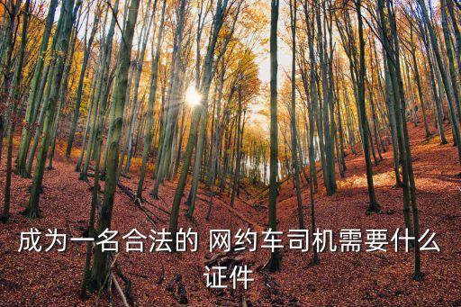 網(wǎng)約車駕駛員證