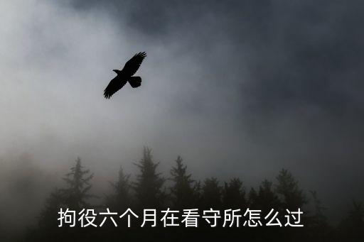拘役所，對罪犯實(shí)行勞動改造的場所有哪些