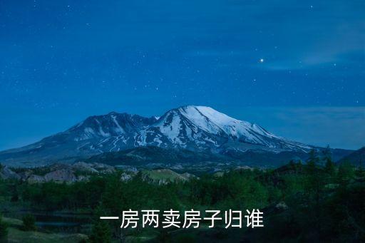 買賣合同52條