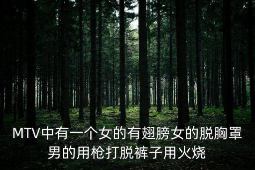 免費(fèi)男人脫女人的褲衩和奶罩，MTV中有一個(gè)女的有翅膀女的脫胸罩男的用槍打脫褲子用火燒