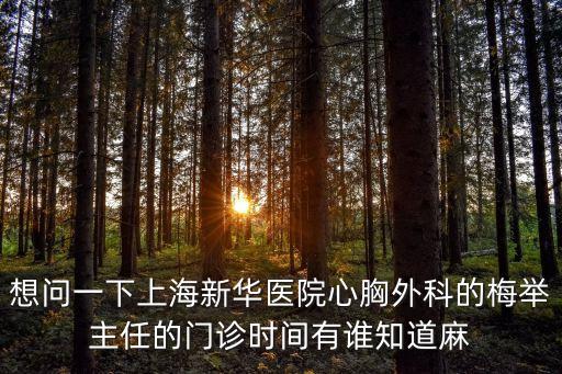 梅舉，想問一下上海新華醫(yī)院心胸外科的梅舉主任的門診時間有誰知道麻