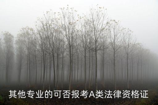 其他專業(yè)的可否報考A類法律資格證