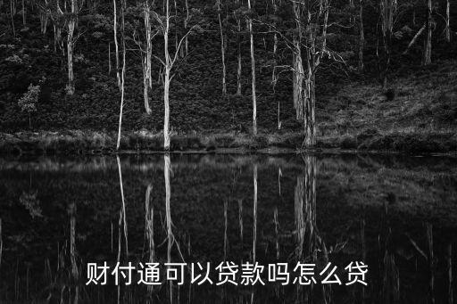 財(cái)付通可以貸款嗎怎么貸