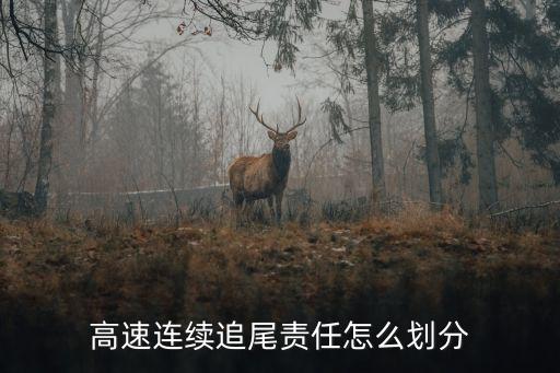 高速連續(xù)追尾責任怎么劃分