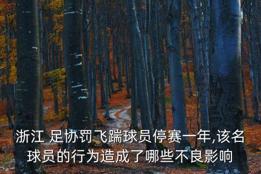 浙江 足協(xié)罰飛踹球員停賽一年,該名球員的行為造成了哪些不良影響
