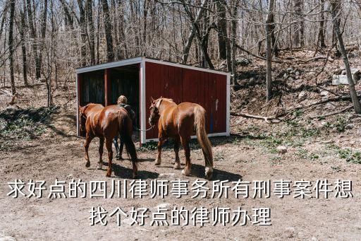 四川律協(xié)，如何委托律師幫忙下戶口