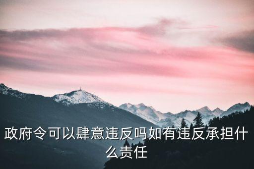 政府令可以肆意違反嗎如有違反承擔(dān)什么責(zé)任