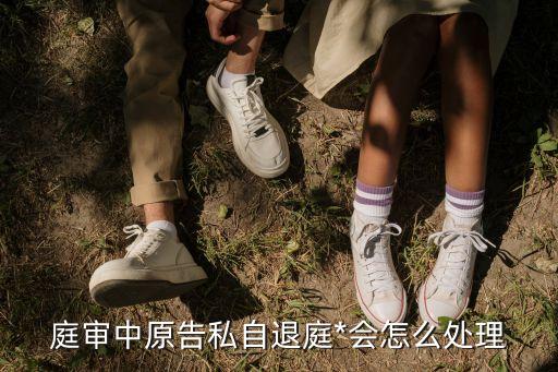退庭，不滿未經(jīng)法庭許可而中途退庭對(duì)此法庭應(yīng) 如何處