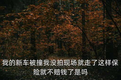 沒拍照就移車了還能報(bào)保險(xiǎn)嗎，車擦到墻了沒拍照就把車開走了還能報(bào)保險(xiǎn)理賠嗎