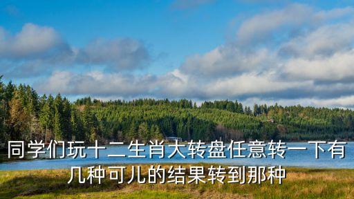 十二生肖轉(zhuǎn)盤，同學(xué)們玩十二生肖大轉(zhuǎn)盤任意轉(zhuǎn)一下轉(zhuǎn)到那種生肖可能性大  搜