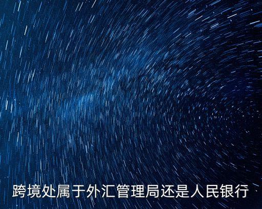 rcpmis，人民幣跨境收付信息管理系統(tǒng)RCPMIS沒收款額度