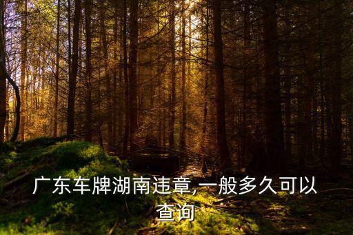  廣東車牌湖南違章,一般多久可以 查詢