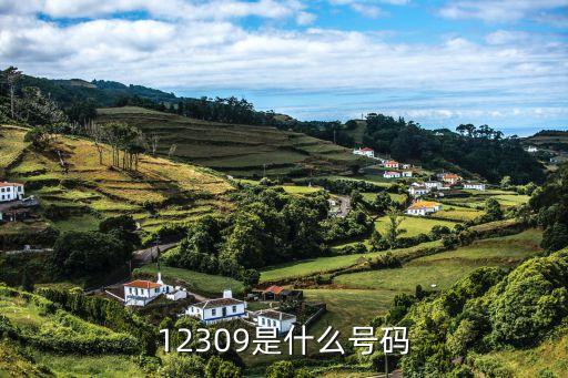 12309，12309你們知道是什么電話嗎