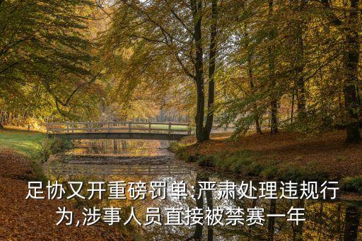 足協(xié)罰分警告不還款