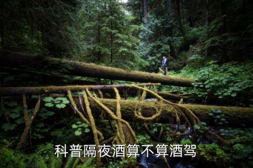 隔夜酒駕，隔夜酒休息一夜仍酒駕 體內(nèi)酒精多久才能排空