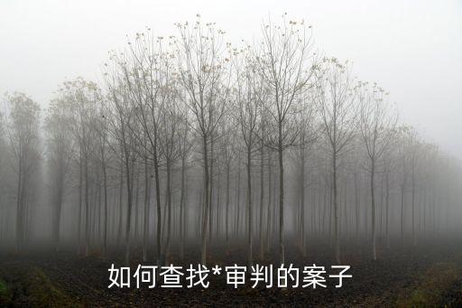 如何查找*審判的案子