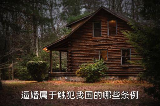 逼婚，什么是逼婚