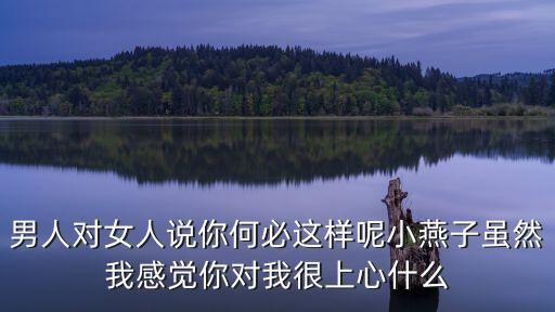 劉惠敏，劉惠敏我能愛你一輩子么