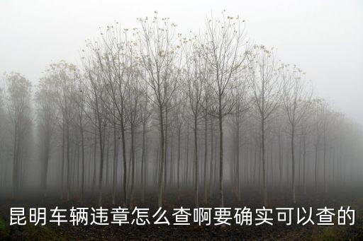 交通違章查詢，昆明車輛違章怎么查啊要確實(shí)可以查的