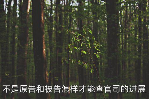 個(gè)人訴訟查詢(xún)，個(gè)人刑事怎樣查詢(xún)