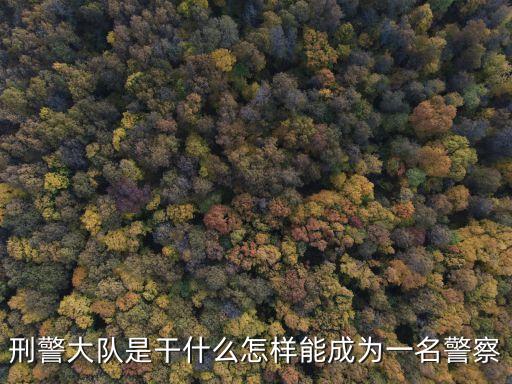 刑警隊是干什么的，刑偵大隊是做什么的