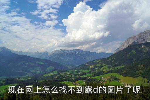 現(xiàn)在網(wǎng)上怎么找不到露d的圖片了呢