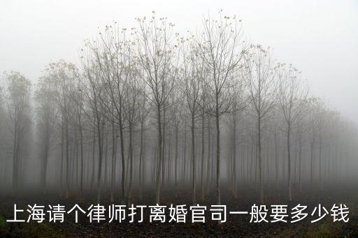 上海請個律師打離婚官司一般要多少錢