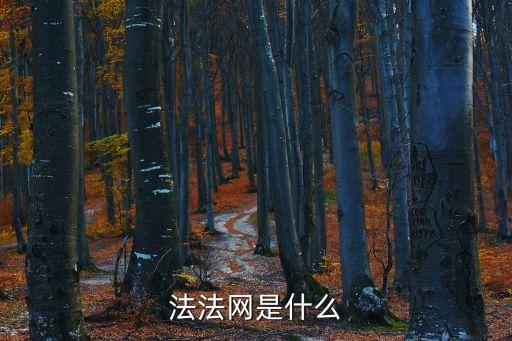 法法網(wǎng)是什么