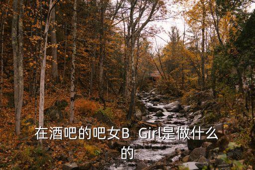 酒吧陪酒女，在酒吧陪男人喝酒的女人是什么工做