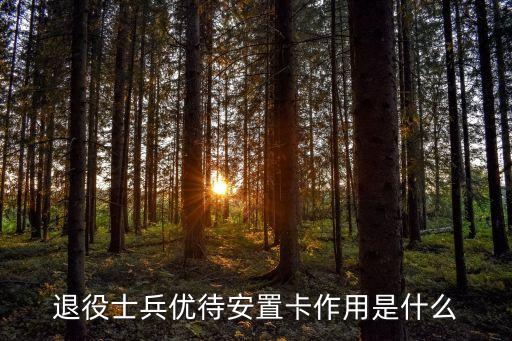 退役士兵優(yōu)待安置卡作用是什么