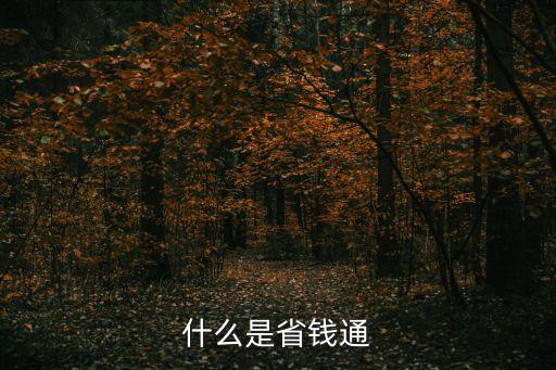 什么是省錢通