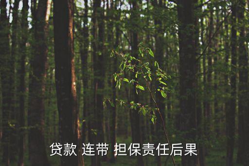 貸款 連帶 擔(dān)保責(zé)任后果