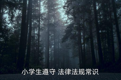 法律知識(shí)大全資料,離婚法律知識(shí)大全資料