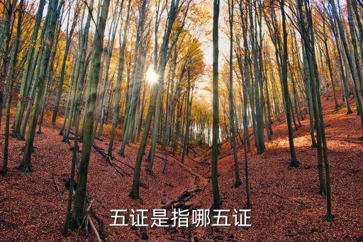 五證，五證是哪五證