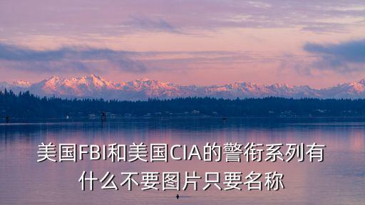 美國FBI和美國CIA的警銜系列有什么不要圖片只要名稱