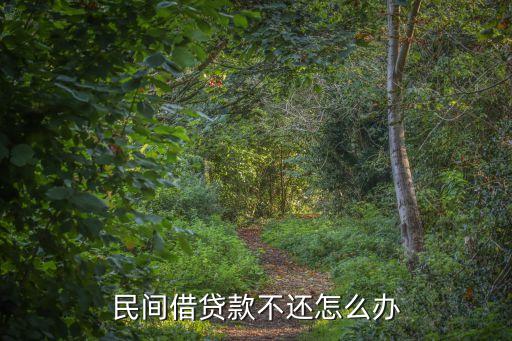民間借貸不還錢怎么辦，民間借貸款不還怎么辦