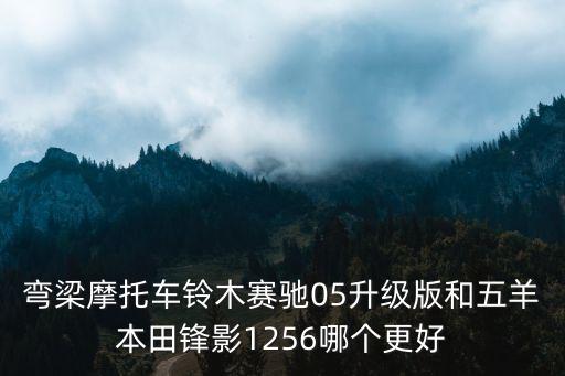彎梁摩托車鈴木賽馳05升級(jí)版和五羊本田鋒影1256哪個(gè)更好