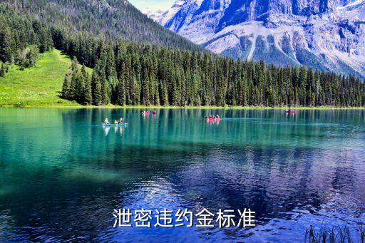 合同泄密責任怎么寫,合同協議書怎么寫樣板