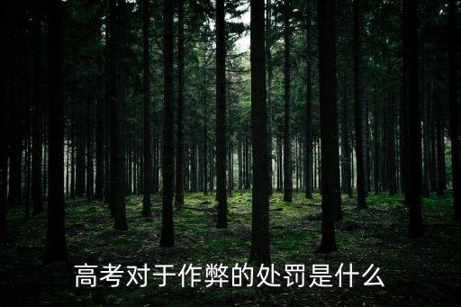 高考對(duì)于作弊的處罰是什么