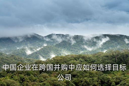目標(biāo)公司，我公司擬收購(gòu)一家公司以下簡(jiǎn)稱目標(biāo)公司