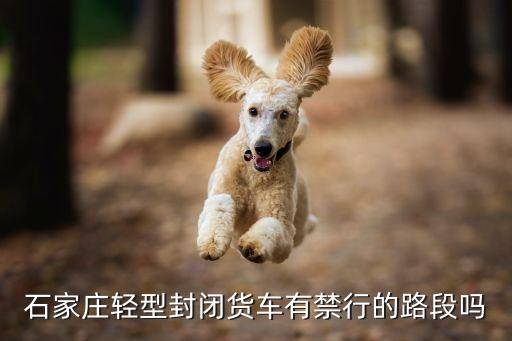 輕型封閉式貨車，10月1號7座以下輕型封閉貨車免費過高速嗎
