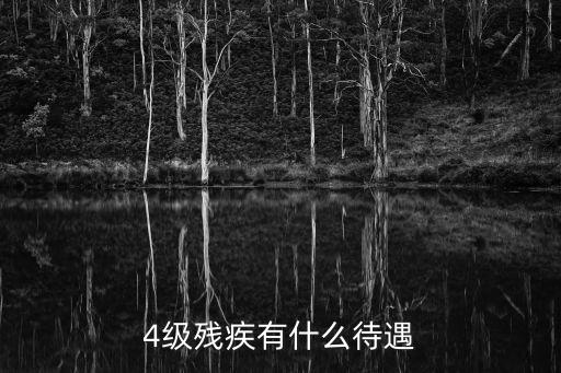 4級(jí)殘疾有什么待遇