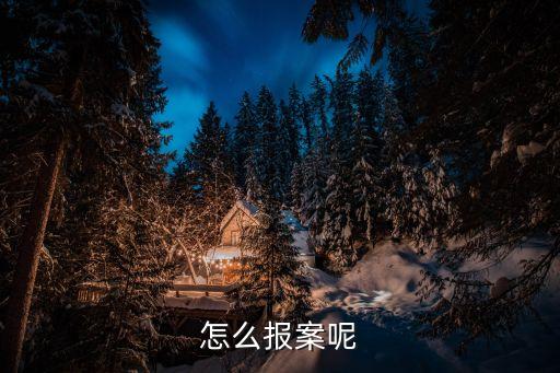 報案流程，有人報案*機(jī)關(guān)到現(xiàn)場要做的程序有哪些