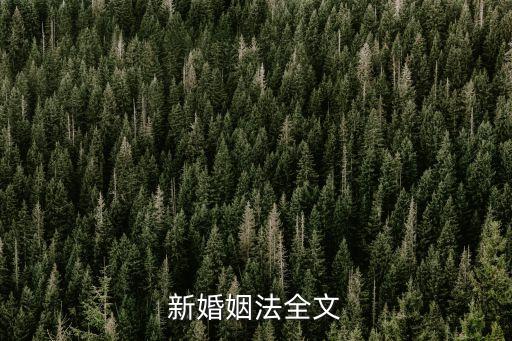 新婚姻法全文