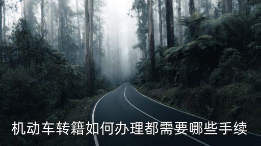 機(jī)動(dòng)車(chē)轉(zhuǎn)籍，車(chē)輛過(guò)戶(hù)轉(zhuǎn)籍
