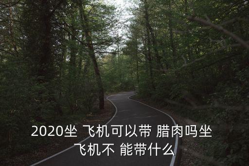 2020坐 飛機可以帶 臘肉嗎坐 飛機不 能帶什么