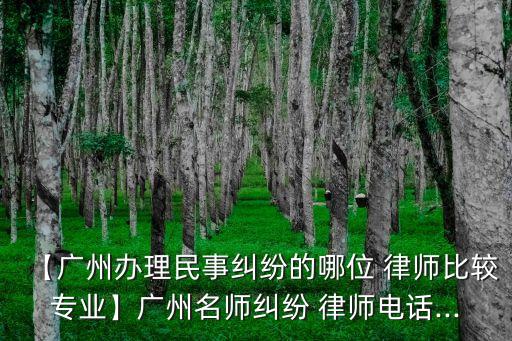 【廣州辦理民事糾紛的哪位 律師比較專業(yè)】廣州名師糾紛 律師電話...