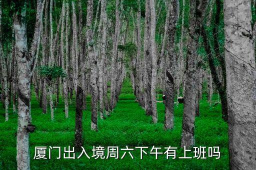 廈門出入境，廈門哪里辦理香港香港入境手續(xù)