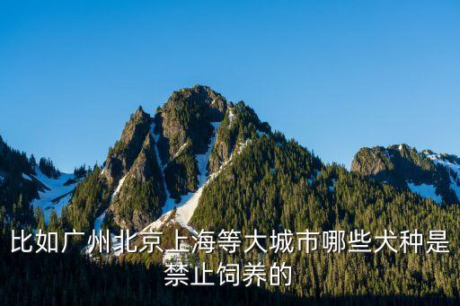 比如廣州北京上海等大城市哪些犬種是禁止飼養(yǎng)的